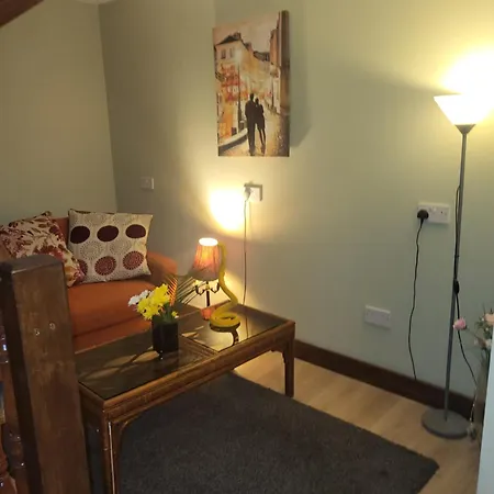 Pensionat The Barn Tullamore